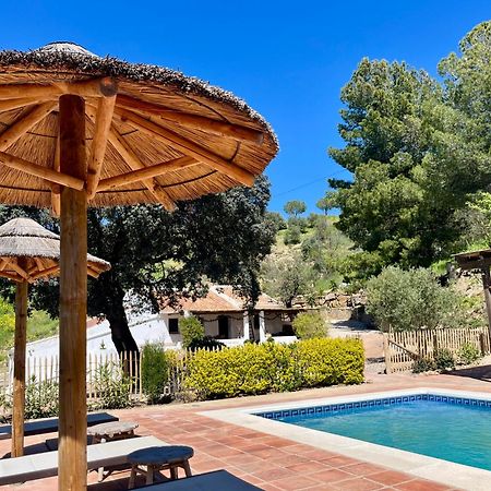 Finca El Sueno Andaluz Villanueva de la Concepción Extérieur photo