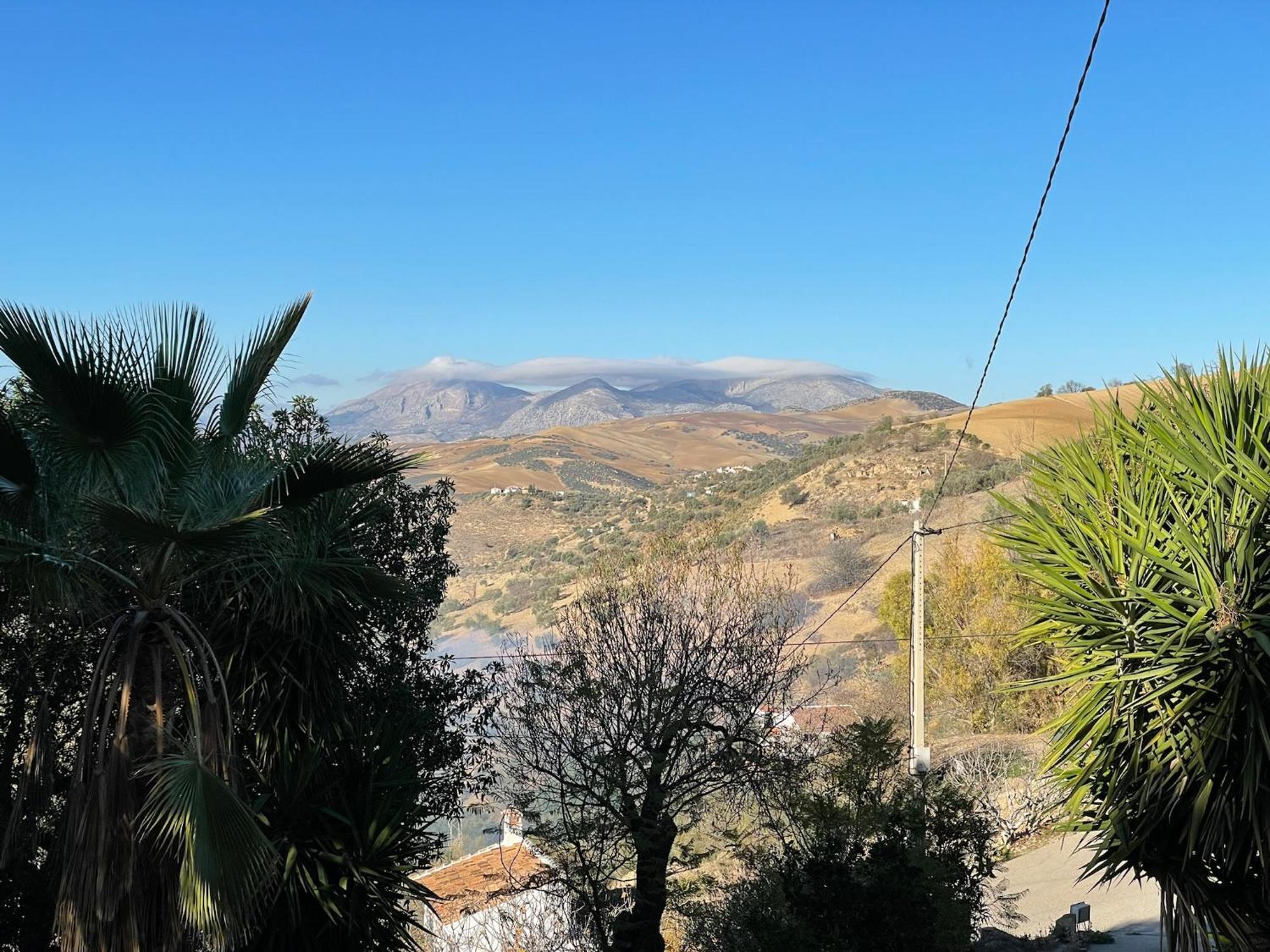 Finca El Sueno Andaluz Villanueva de la Concepción Extérieur photo