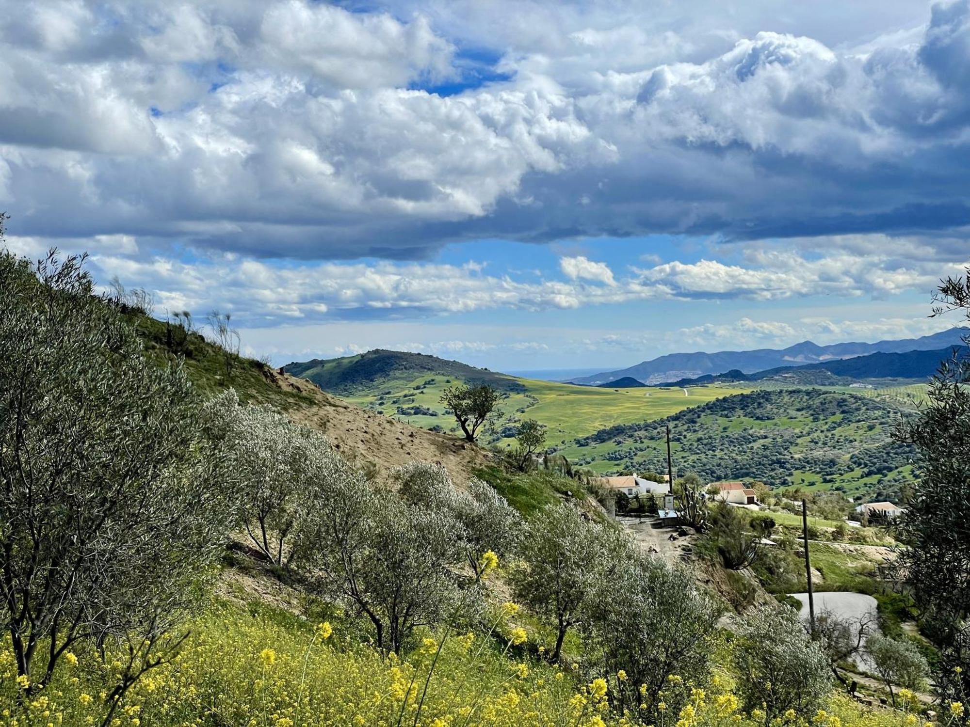 Finca El Sueno Andaluz Villanueva de la Concepción Extérieur photo