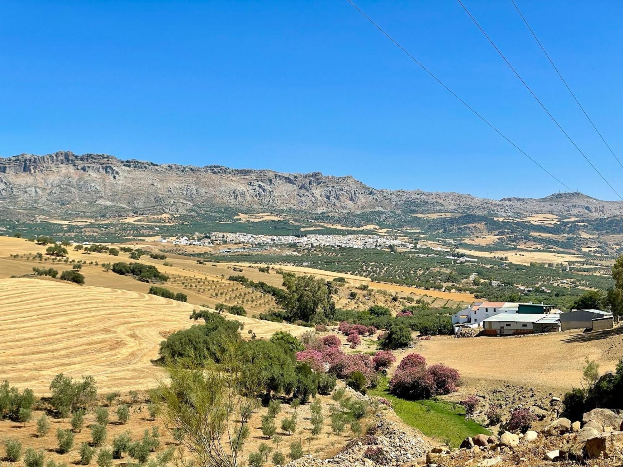 Finca El Sueno Andaluz Villanueva de la Concepción Extérieur photo